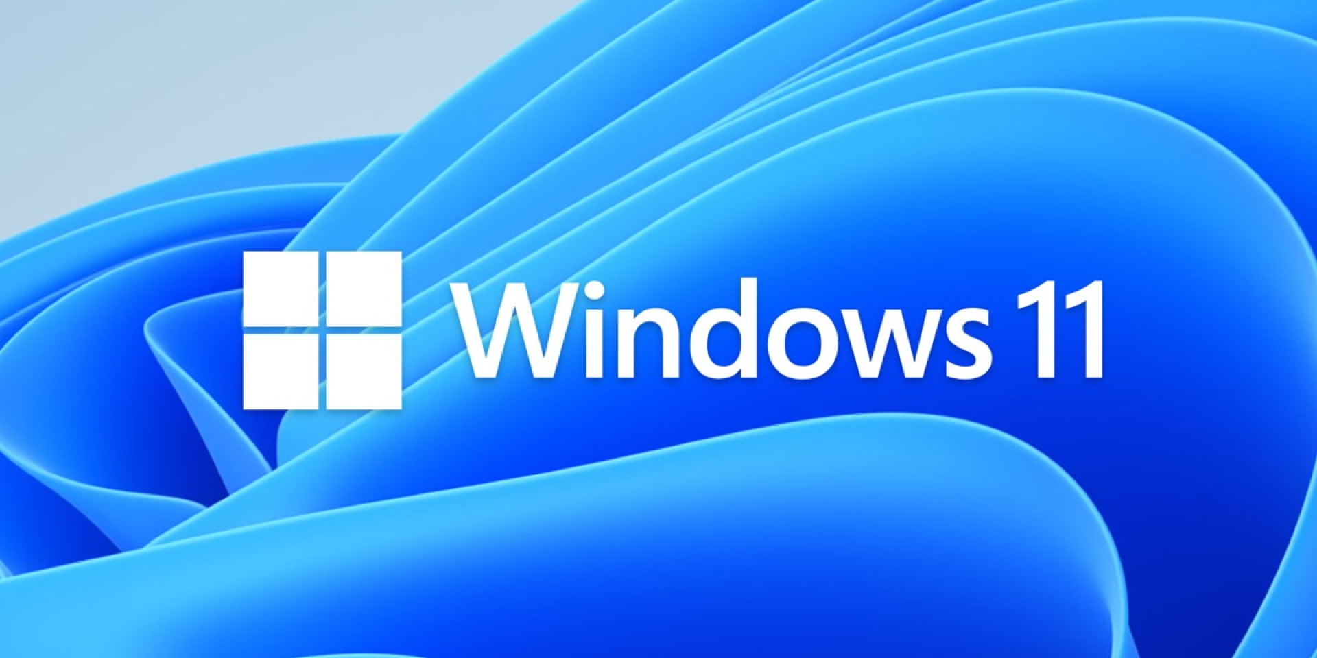 Официальное изображение Windows 11 (Фото: Microsoft)