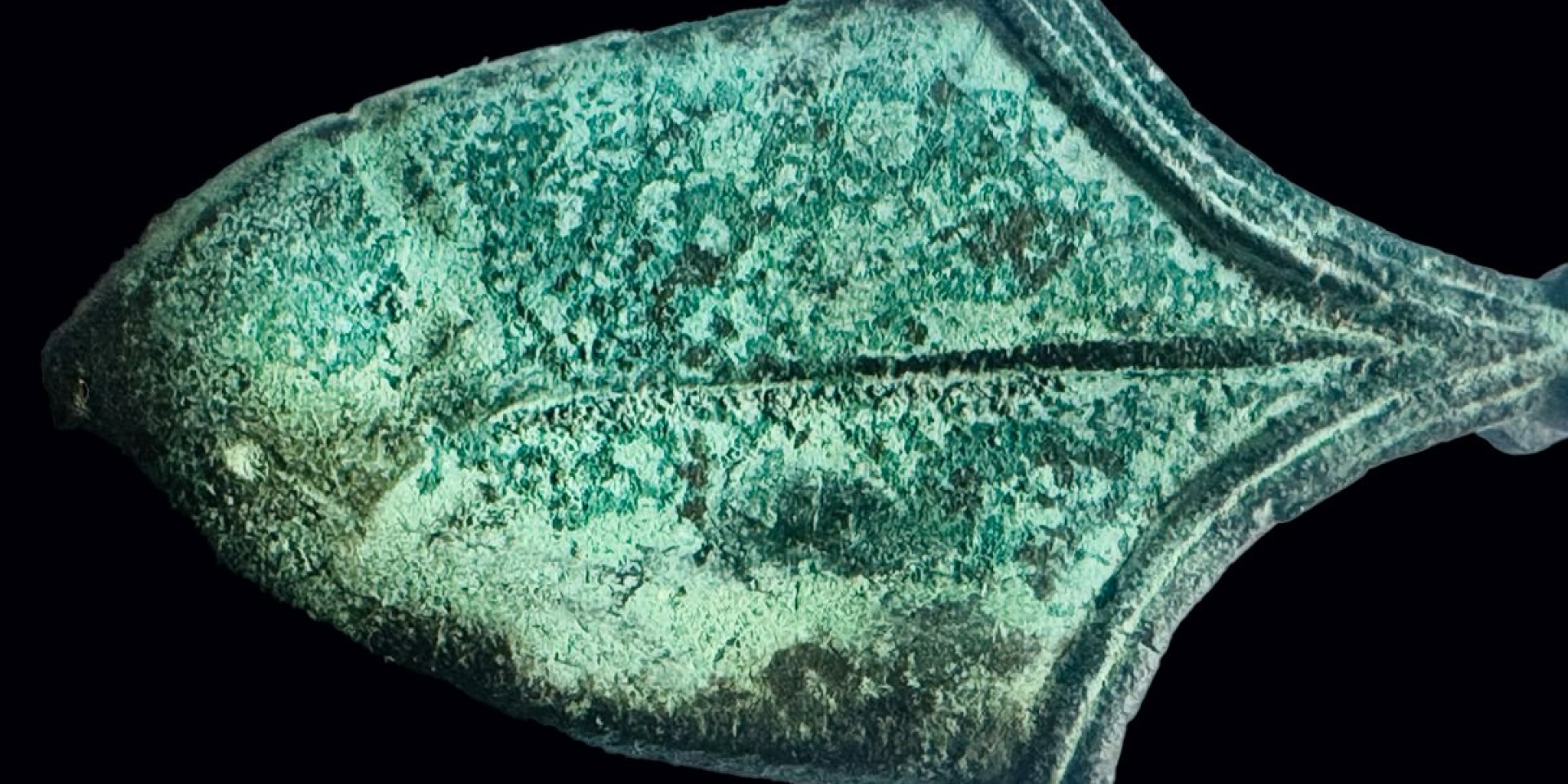 В Польше нашли часть древнего оружия (Фото: Association of Detectorists «Bad Szeląg»)
