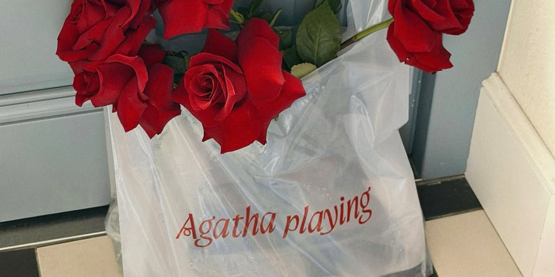 Agatha playing — новое городское пространство от Даши Кацуриной (Фото: agatha.playing в Instagram)