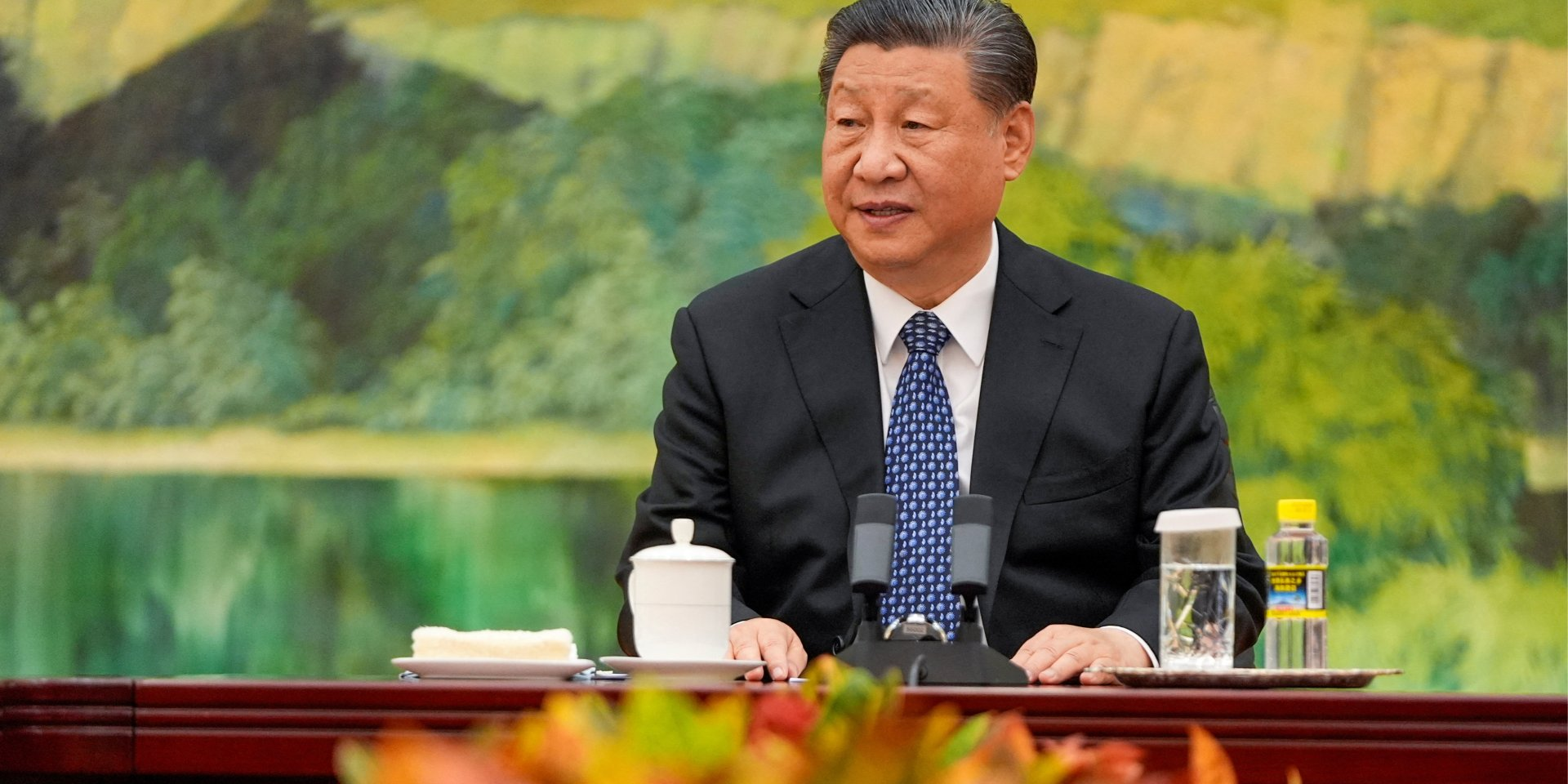 Chinese leader Xi Jinping (Photo: Mark Schiefelbein/Pool via REUTERS)
