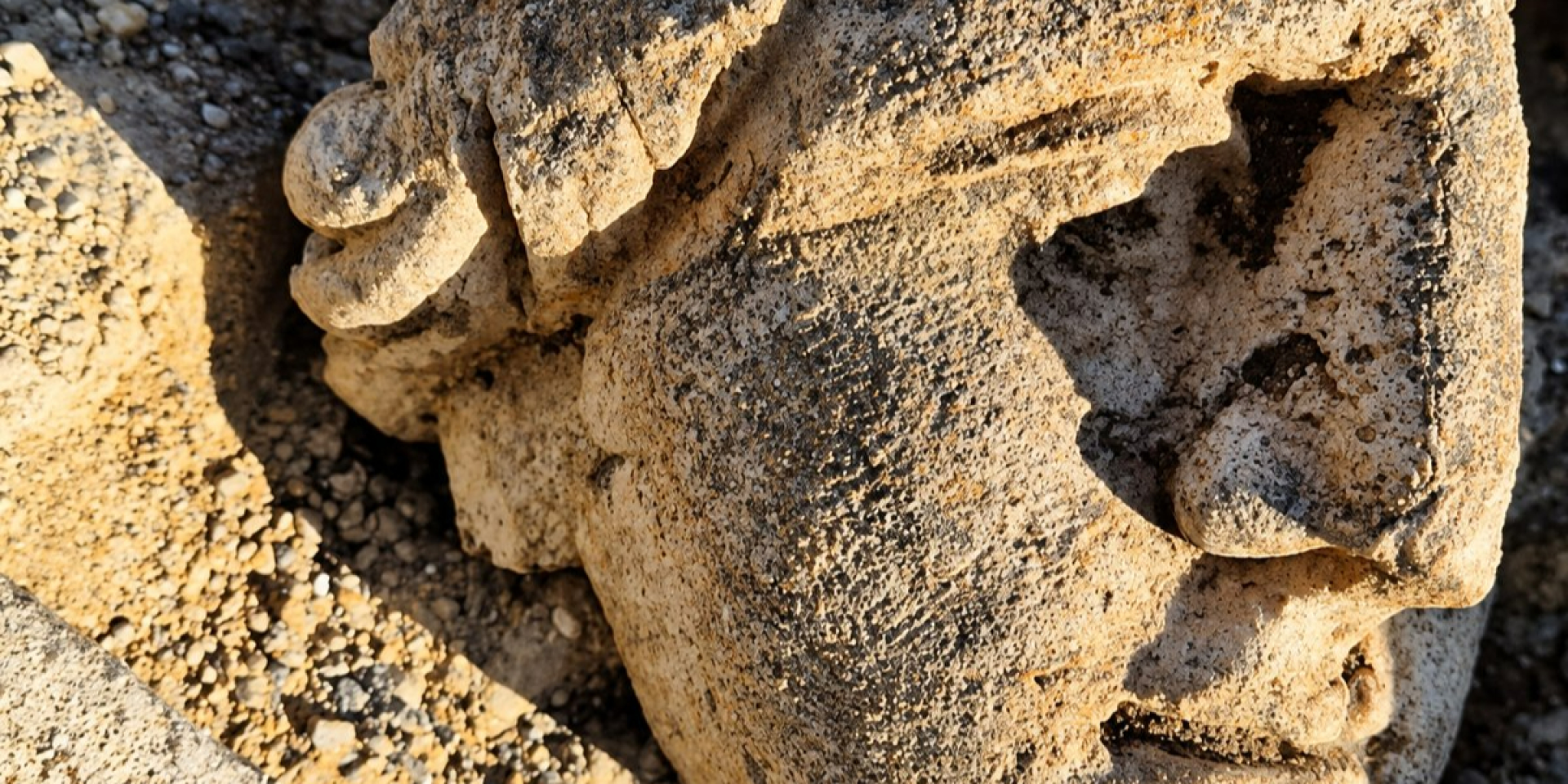 Часть скульптуры, найденная во время раскопок (Фото: City of Chartres — Chartres Archaeology)