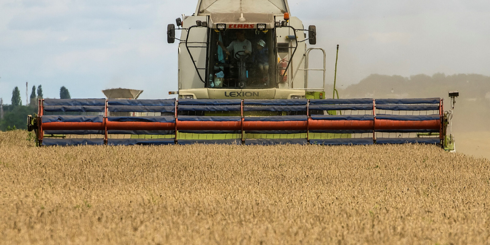 Harvesting in Kyiv Oblast (Photo: REUTERS/Viacheslav Musiienko)