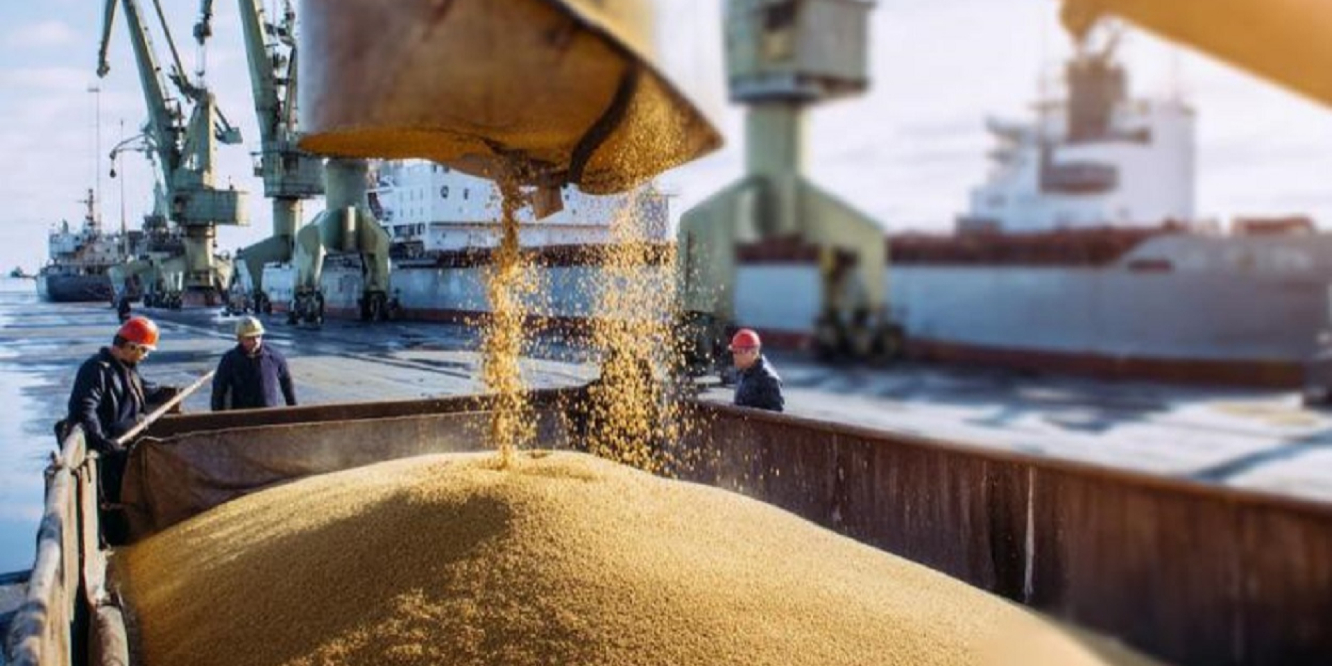Russian grain export by more than 80% (Photo: rosng.ru)