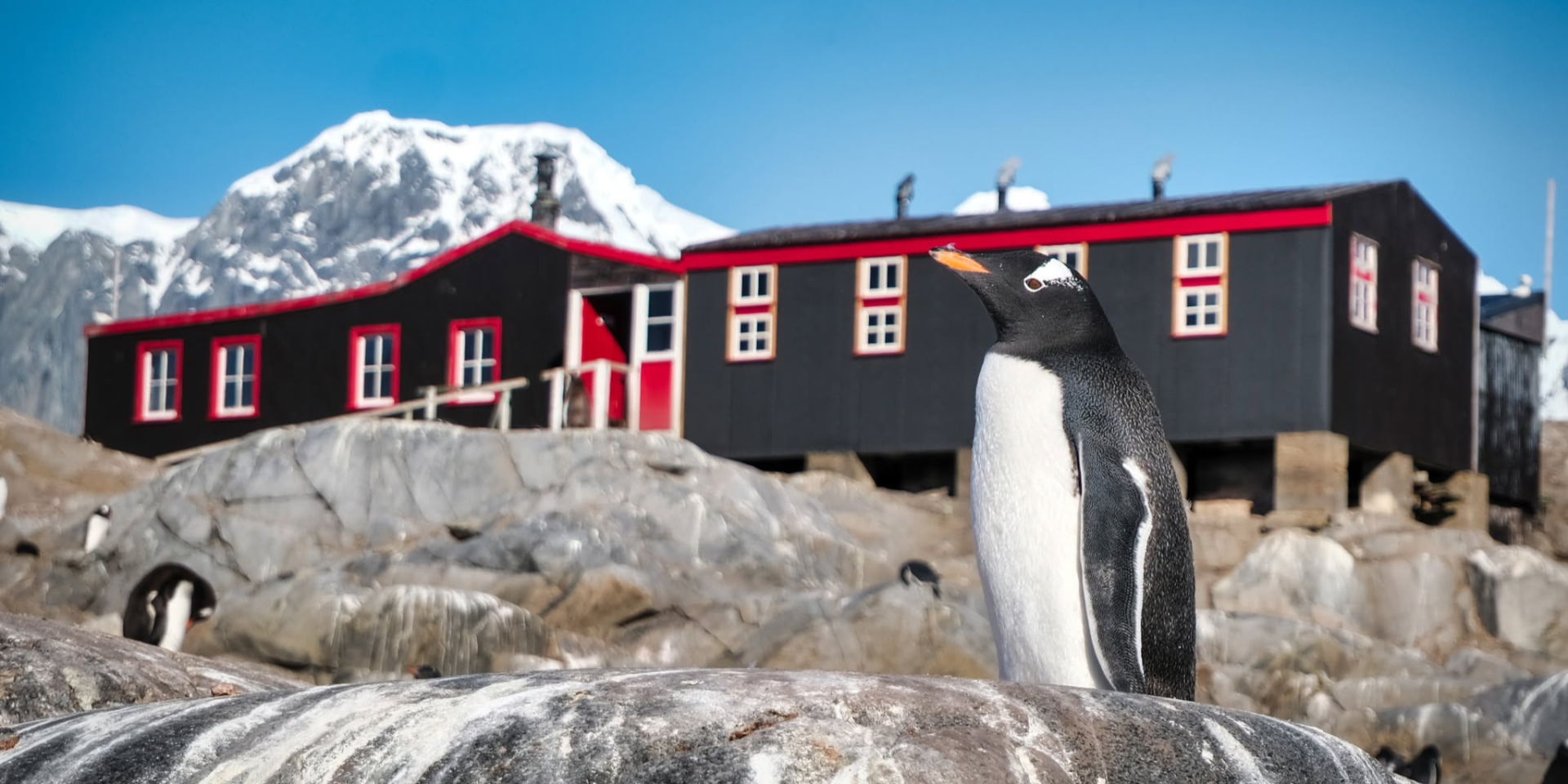Что известно о сезонной работе в Антарктиде (Фото: UK Antarctic Heritage Trust/Facebook)