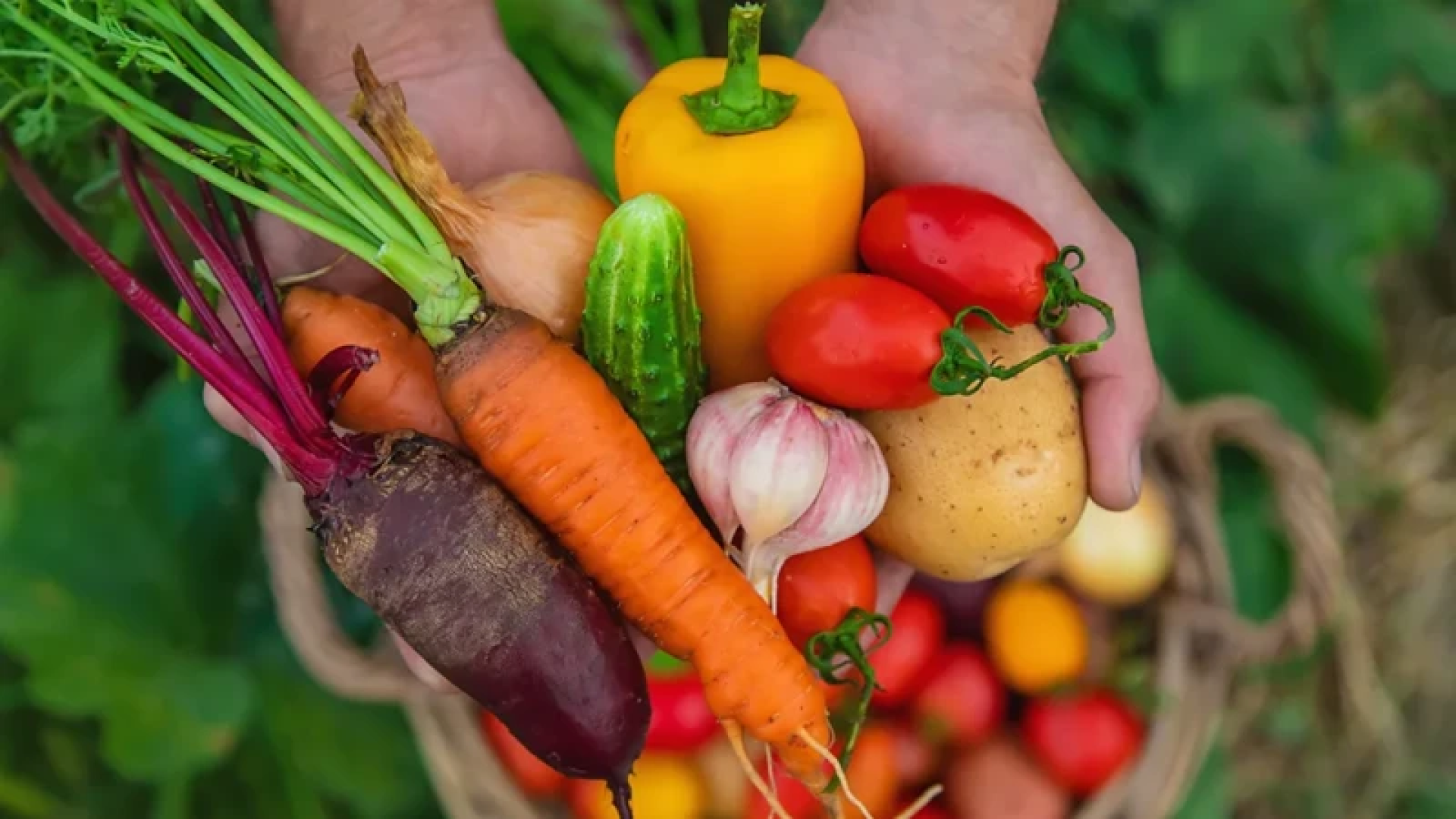 Якы продукти обрати, щоб шкіра сяяла здоровʼям (фото ілюстративне) (Фото: Getty Images)
