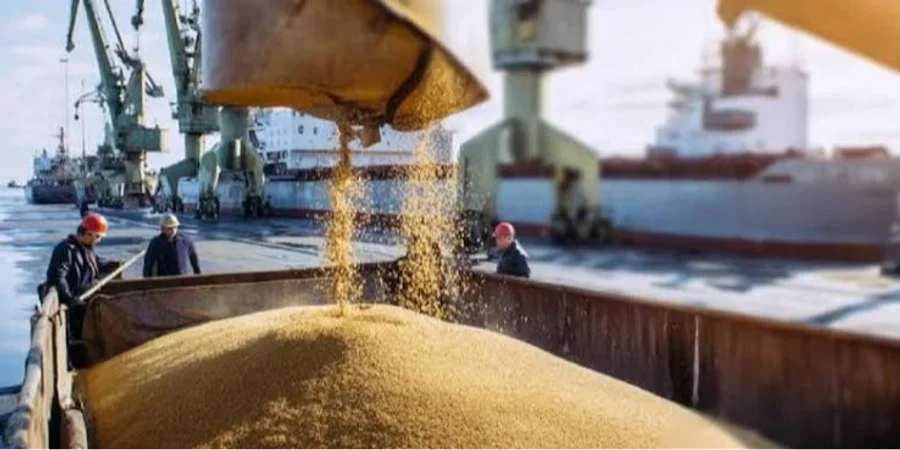 Reuters and Bloomberg reported that Russia has begun using the Sea of ​​Azov for grain exports for the first time since July (Photo: rosng.ru)
