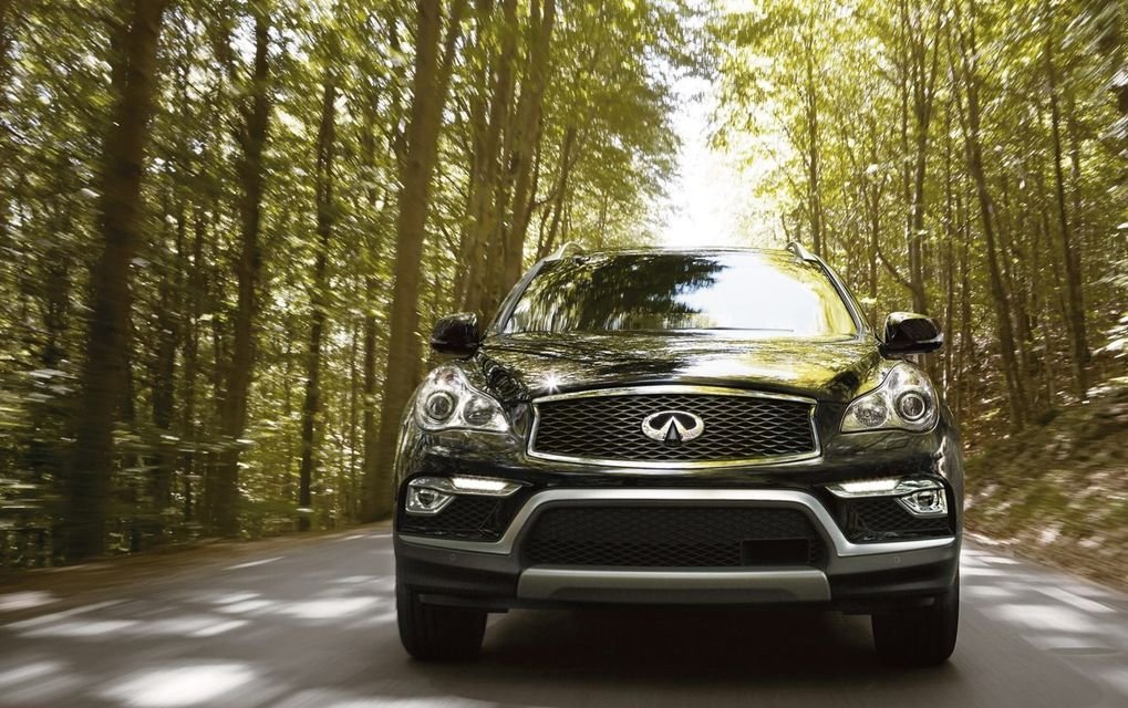 Молодой "финик". Тест-драйв Infiniti QX50 - фото