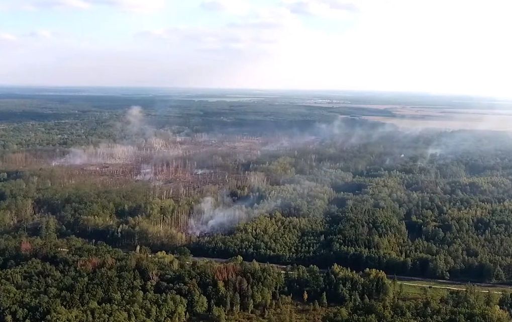 На видео видно сразу несколько очагов пожара (Фото: Скриншот)