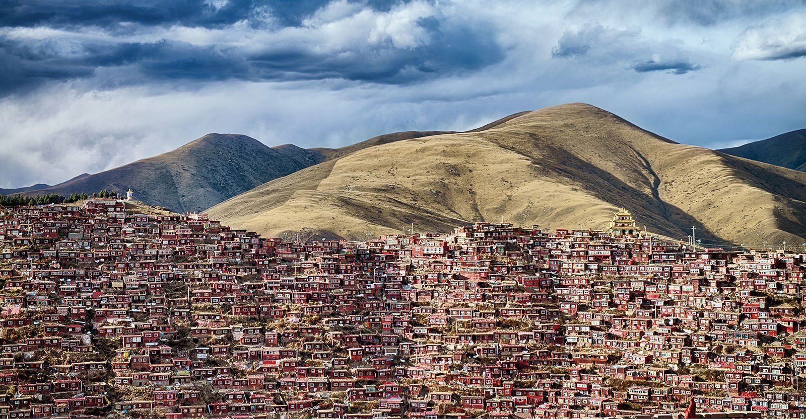 Кадры решают все - фото