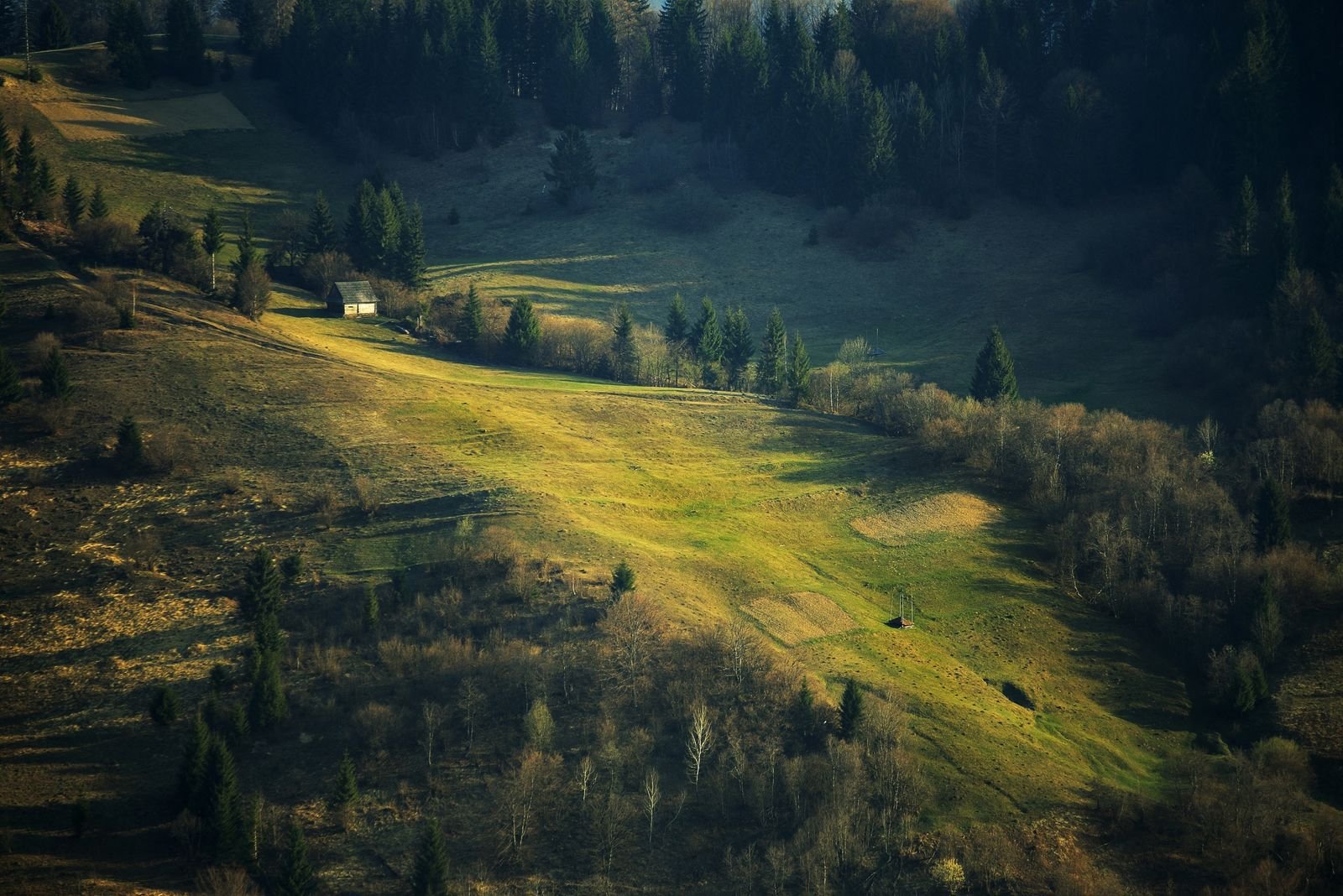 Моє сміливе рішення  - фото
