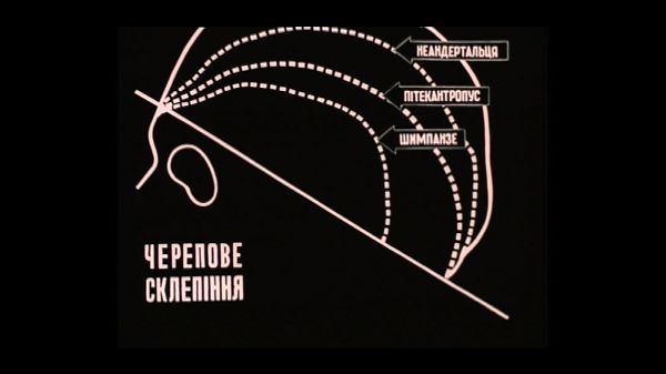  Кадр из фильма 