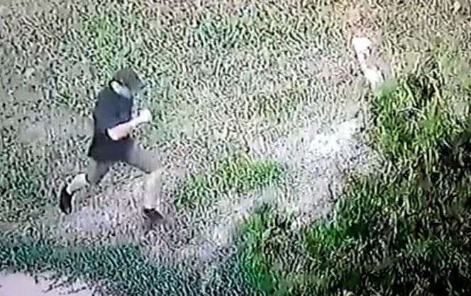  Скрин видео с мужчиной, который облил кислотой сотрудницу Херсонского горсовета  (Фото:  Фото: скрин видео)
