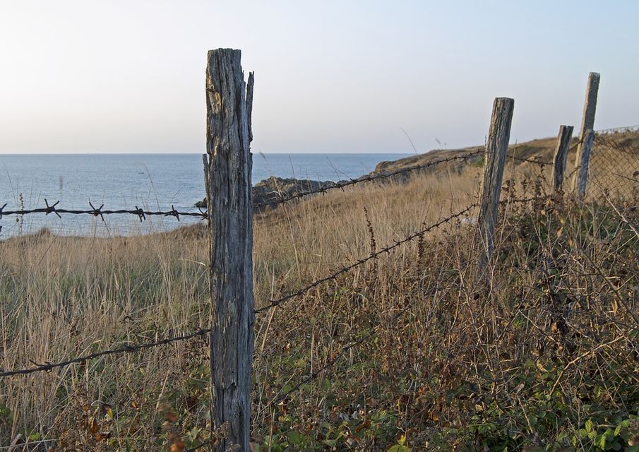 Проби води в Чорному морі взяли в межах Херсонської області 