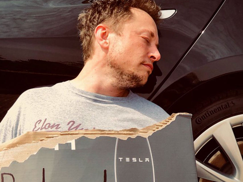  Ілон Маск пустився у всі тяжкі в своєму Twitter  (Фото:  Фото - Twitter @elonmusk)