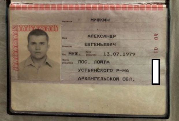 Розслідування з'ясувало, що Мішкін багато разів їздив до України (Фото: Фото: The Insider)