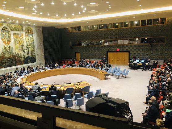 В Совбезе выступили единым фронтом против России (Фото: Фото: UKR Mission to UN ‏via Twitter)