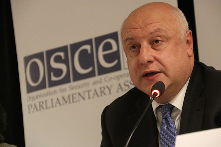 Церетели: Россия должна избегать провокационных действий (Фото: Фото: oscepa.org)
