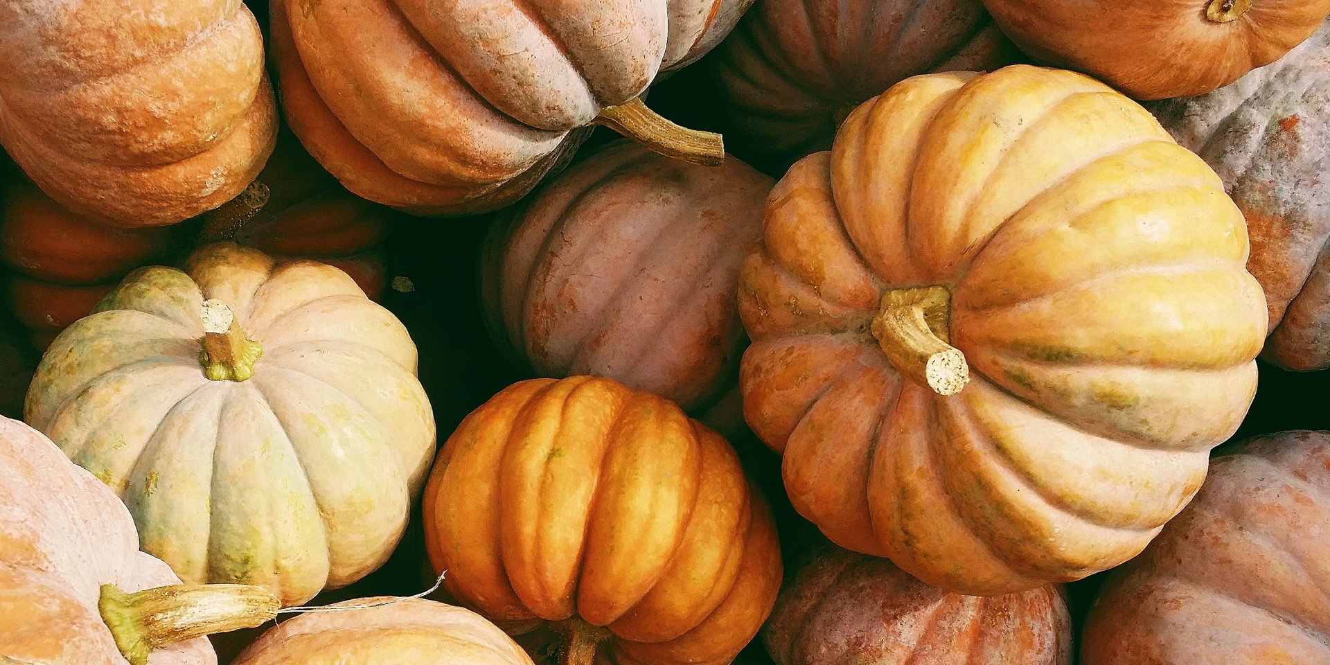 Тыква, запеченная в духовке, и шесть топ-рецептов сезона (Фото: Kerstin Wrba / Unsplash)