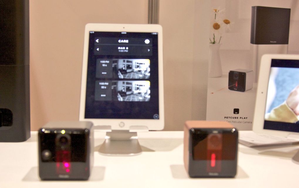 Украинский гаджет на выставке в Лондоне (Фото: Фото: twitter.com/Wearabletecshow)