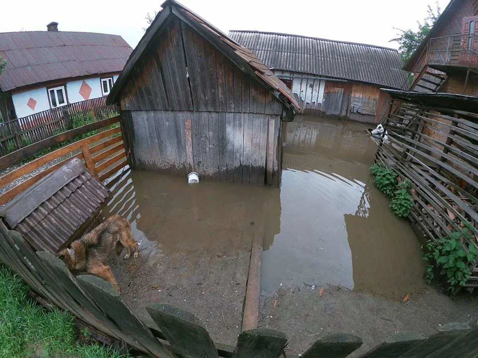 Управління ДСНС України у Закарпатській області via Facebook