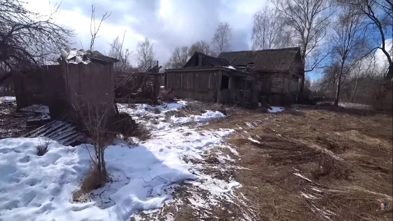 скриншот / bald and bankrupt / youtube