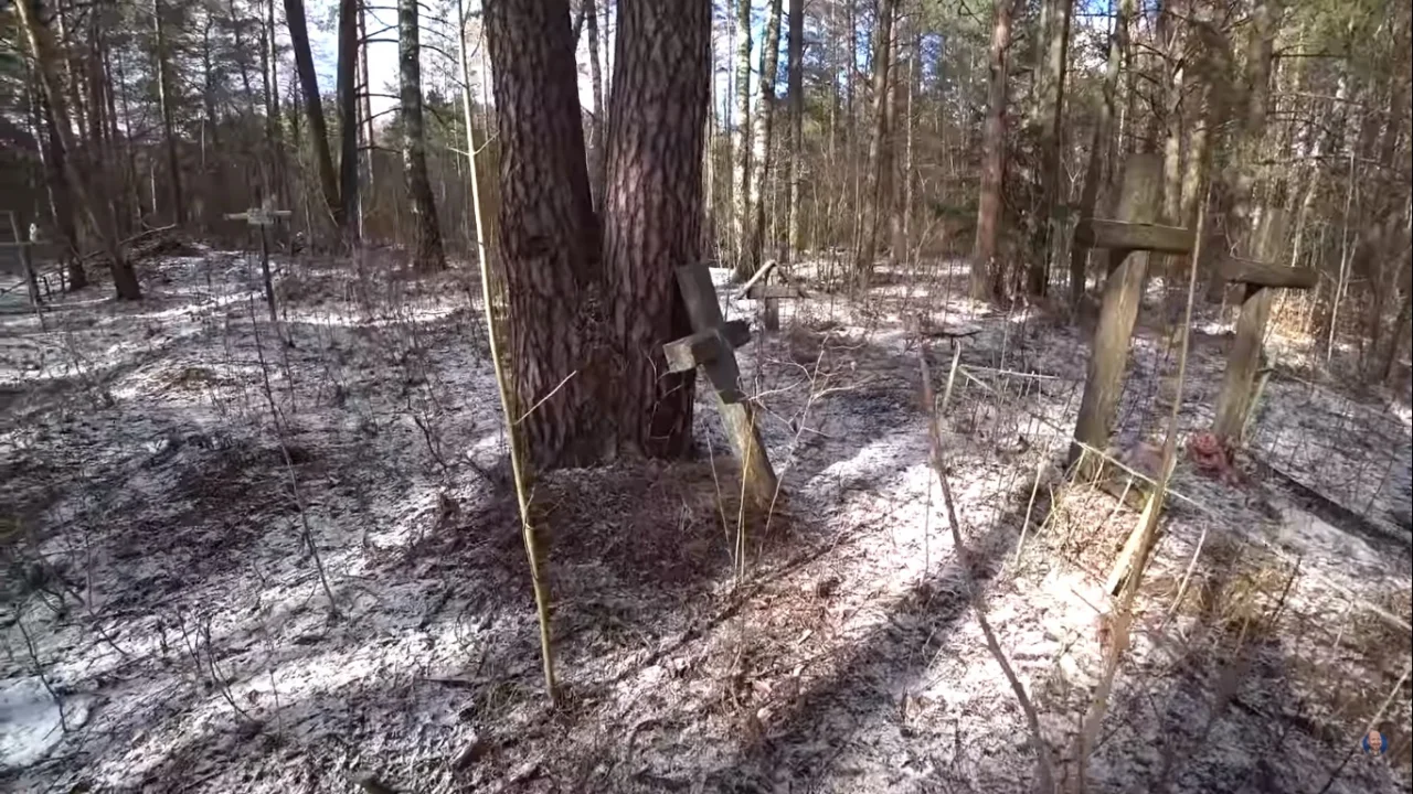 скриншот / bald and bankrupt / youtube