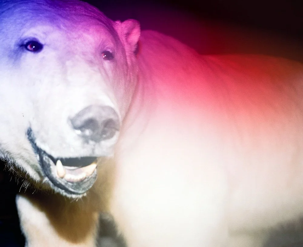 © Dominika Gesicka/LensCulture