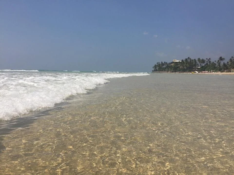 Фото Анна Мачух