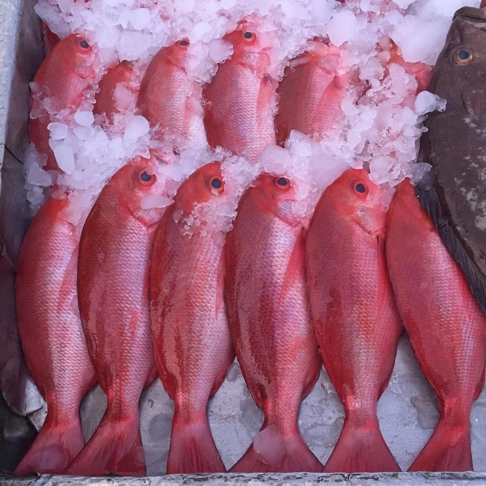 Фото Марина Орехова