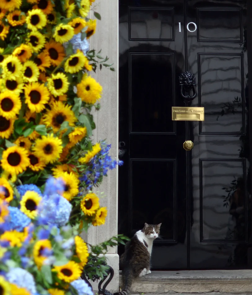 REUTERS/Hannah McKay