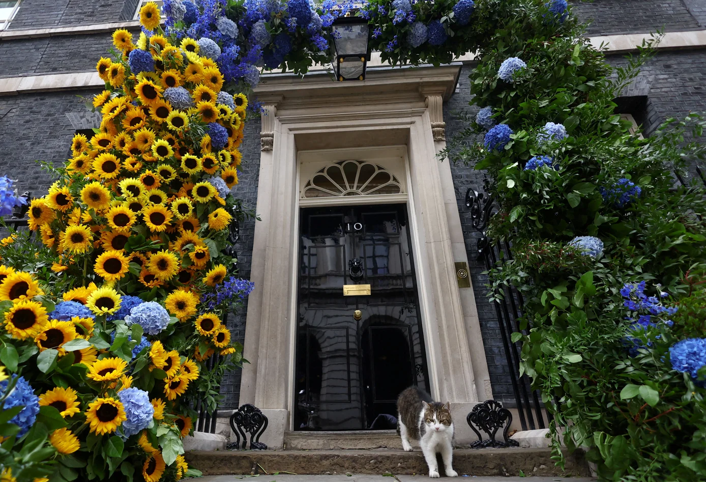 REUTERS/Hannah McKay