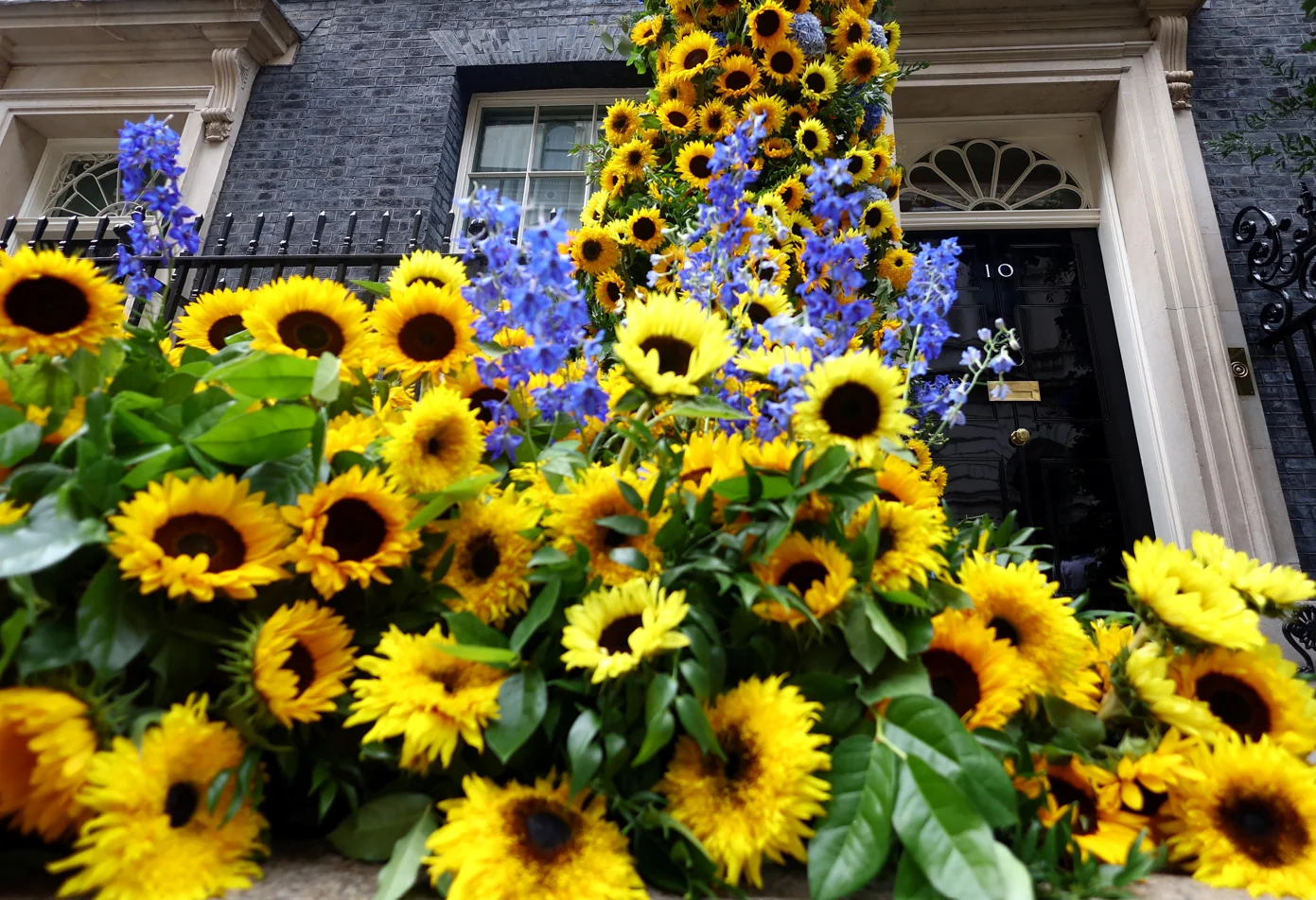 REUTERS/Hannah McKay