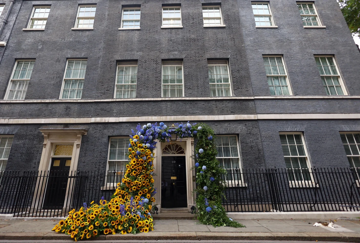 REUTERS/Hannah McKay