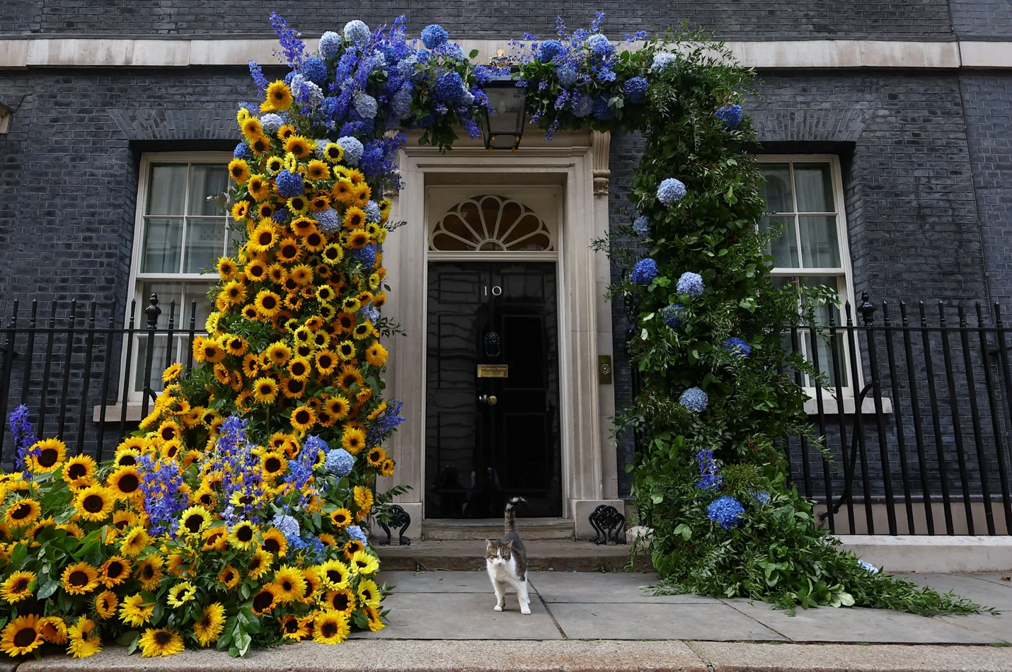 REUTERS/Hannah McKay