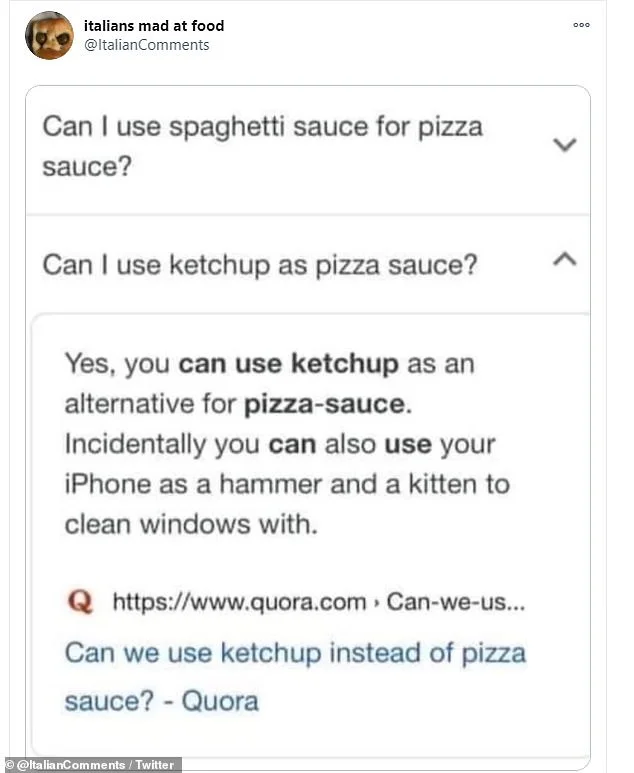 Чи можна використовувати кетчуп для піци? Так, ви можете використовувати кетчуп як соус для піци. Також ви можете використовувати ваш айфон як молоток, а кошеня — для миття вкон. (Фото: Скріншот із dailymail.co.uk)
