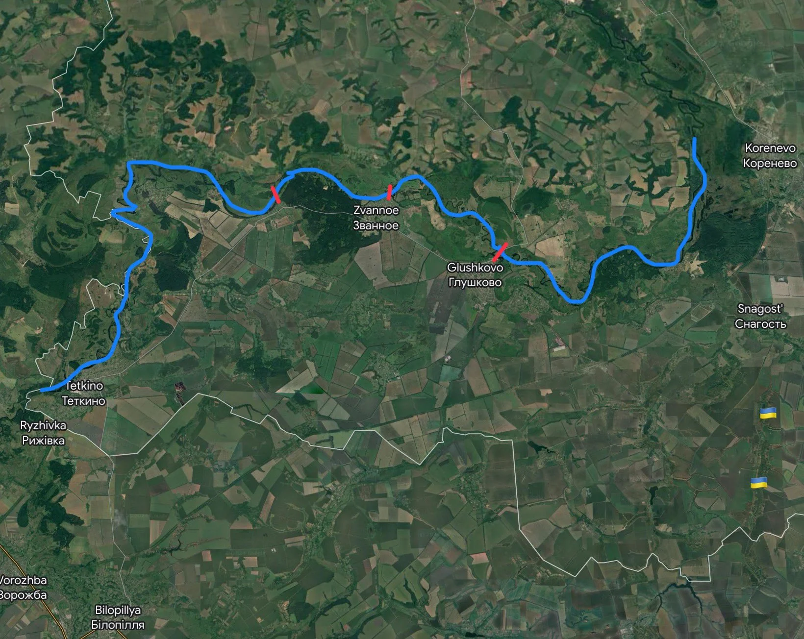 Special Kherson Cat / X