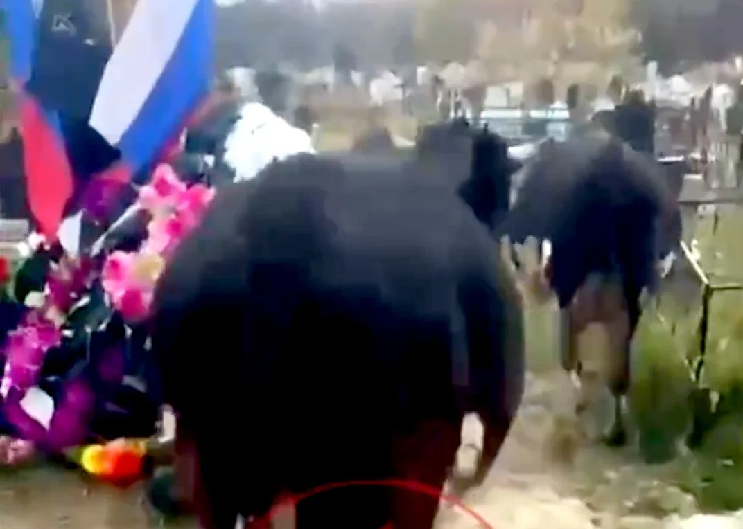 Скриншот видео t.me/chtddd