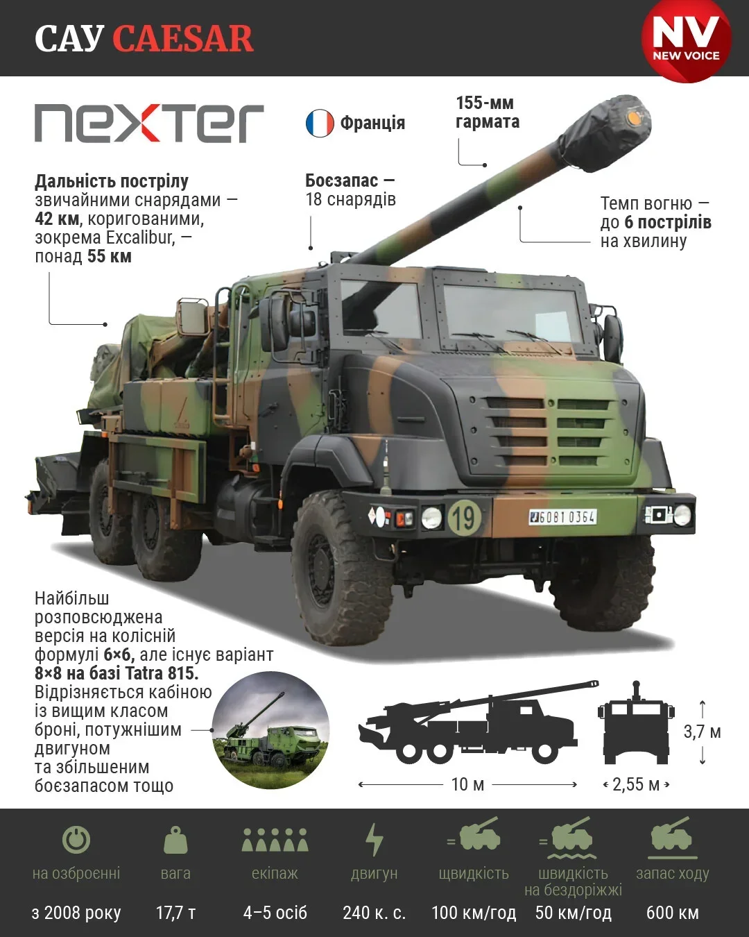 Инфографика NV