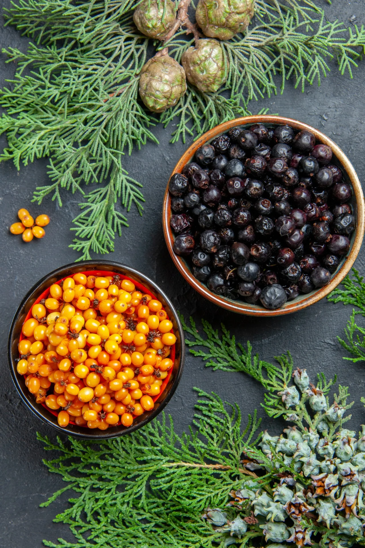 Ялівець та обліпиха (Фото: Freepik)