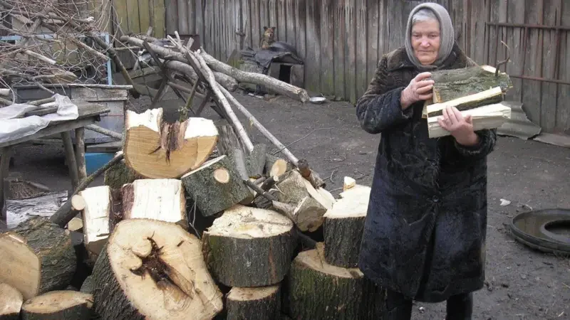 Більшість сіл Полісся все ще опалюють хати дровами (Фото: УНІАН)