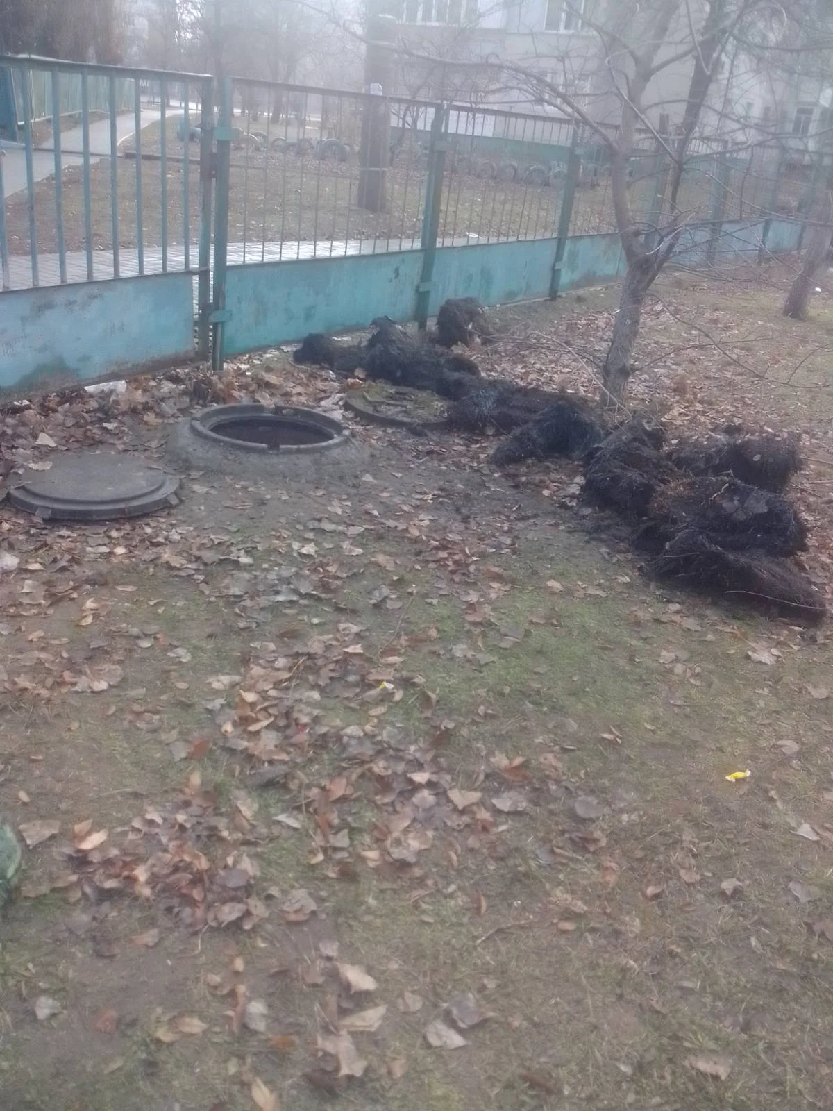 Комунальники в Черкасі прочищають каналізацію (Фото: КП Черкасиводоканал)