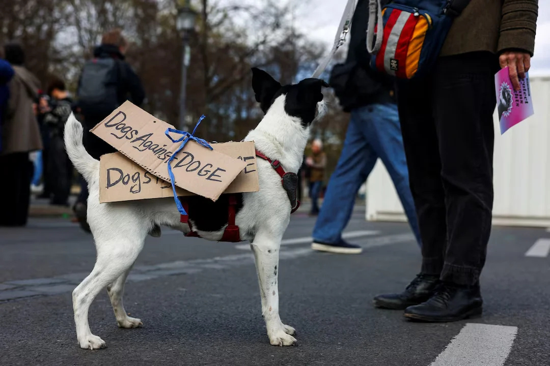 Протесты в Берлине, Германия (Фото: Via REUTERS)
