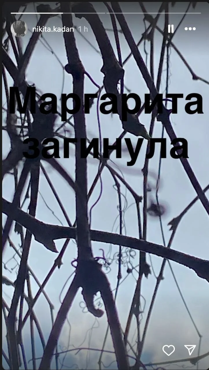 Скриншот/Instagram