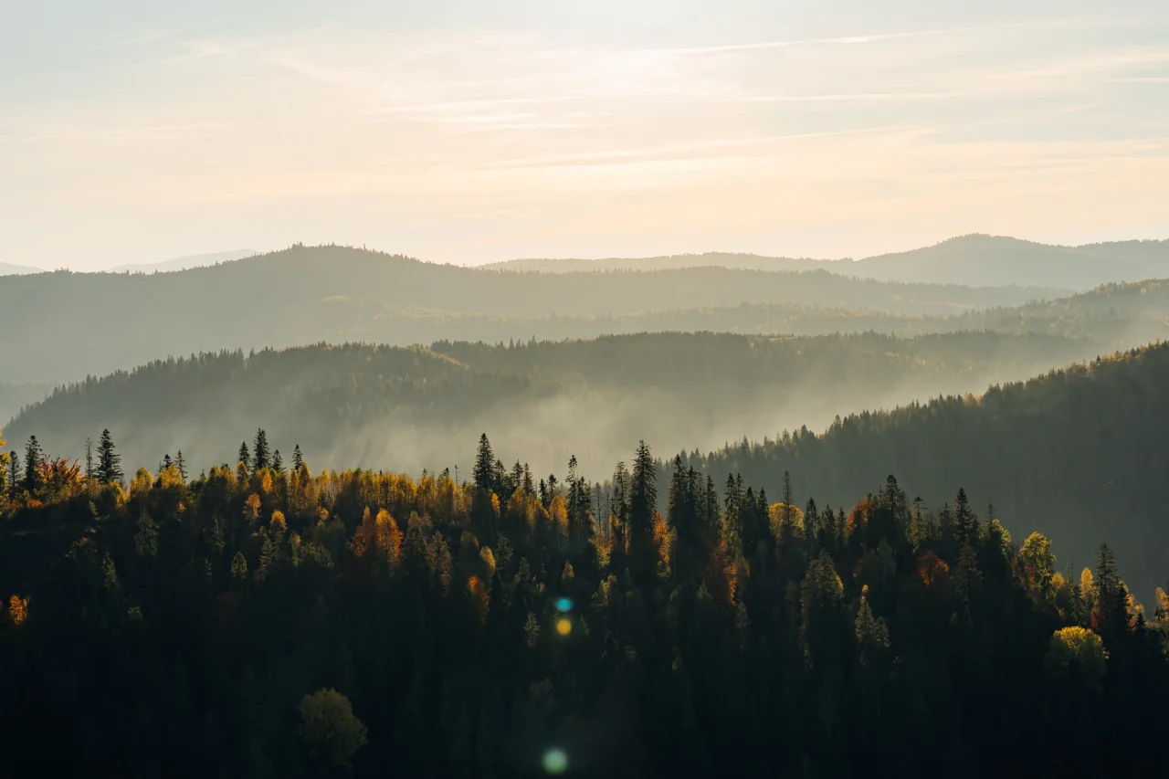 Живий ландшафт та природа є частиною курорту (Фото: GORO Mountain resort)