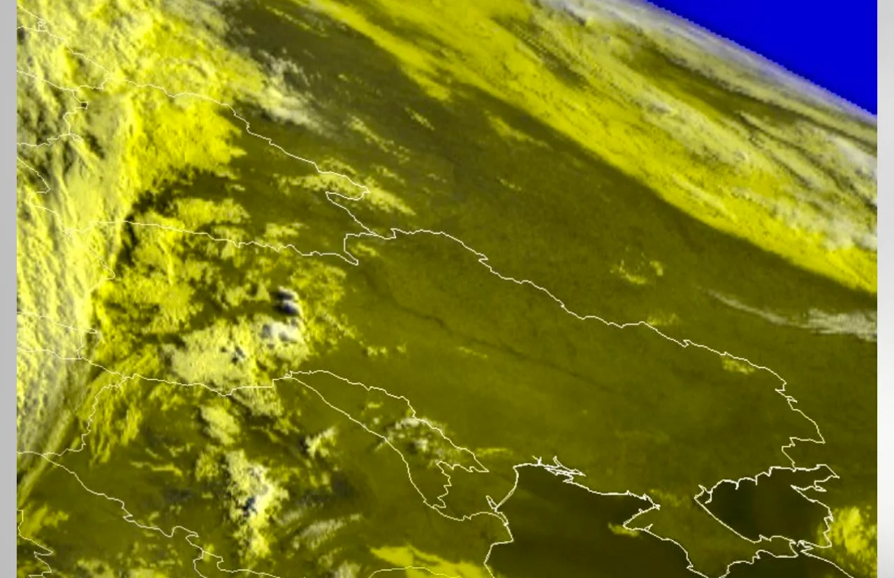 Наталка Діденко / facebook