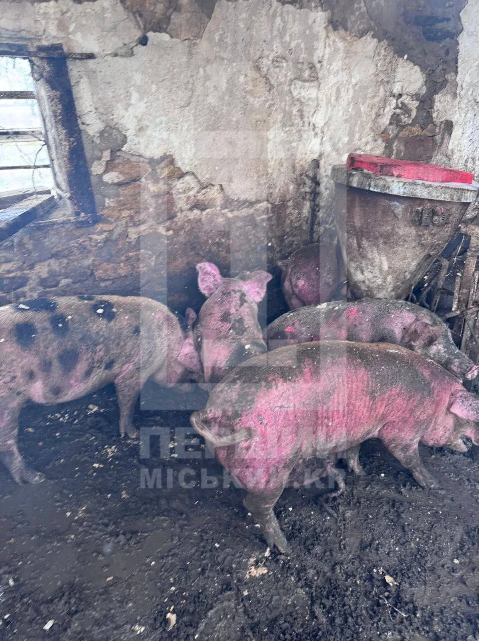 Перший міський. Кривий Ріг via Telegram