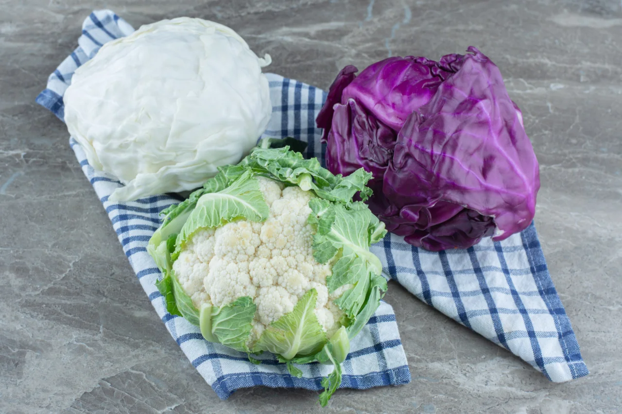Капуста, безусловно, имеет много полезных свойств для здоровья (Фото: freepik)