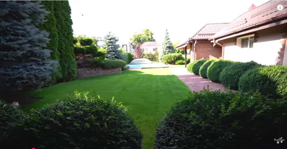 Кадр із відео