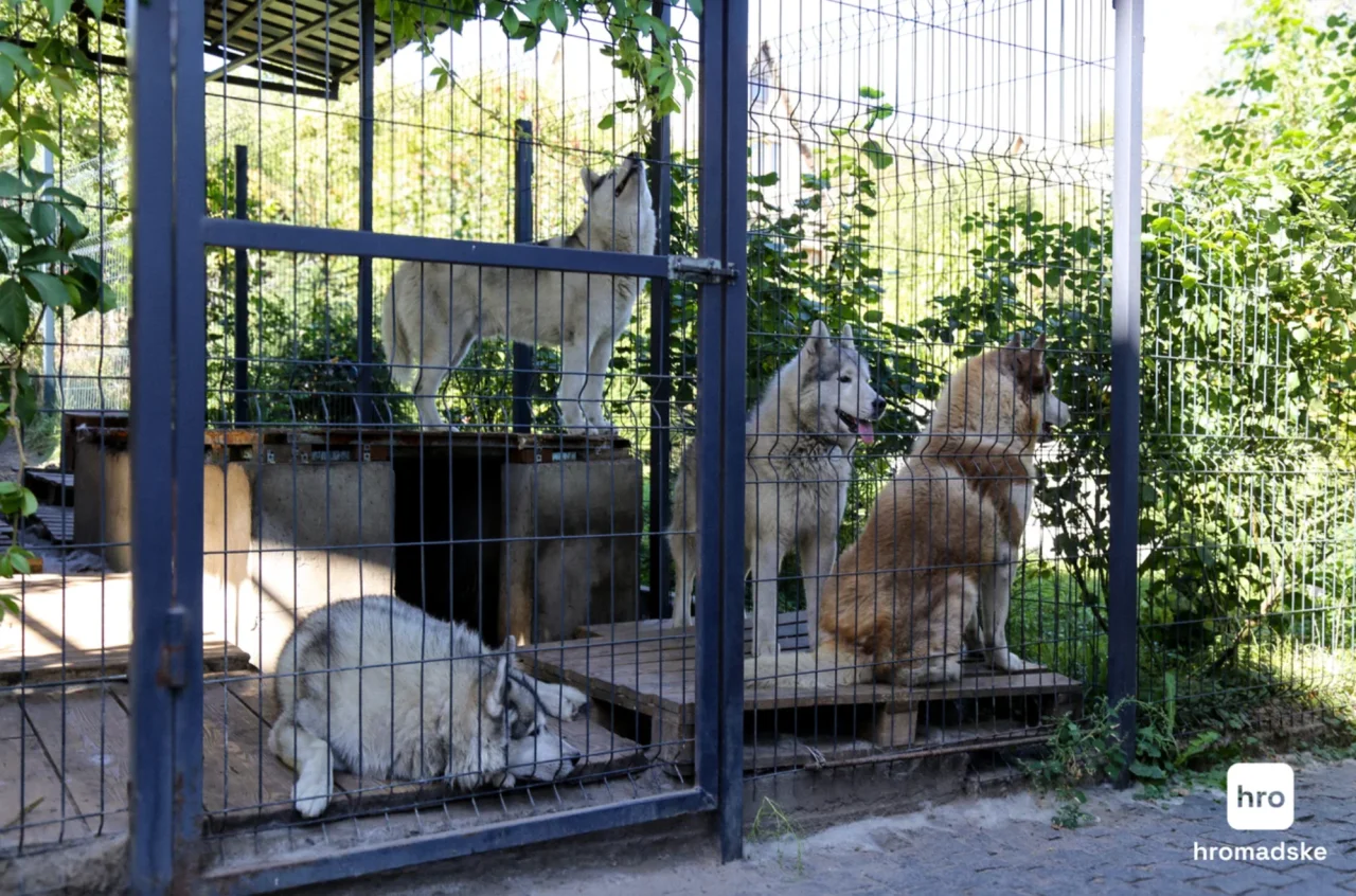 Вікторія Коломієць/hromadske