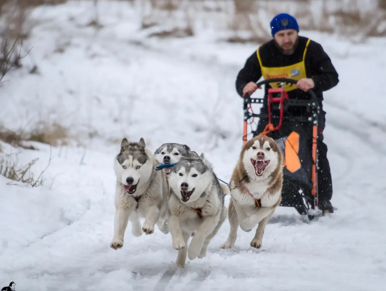 Архів Яни Сакун/hromadske